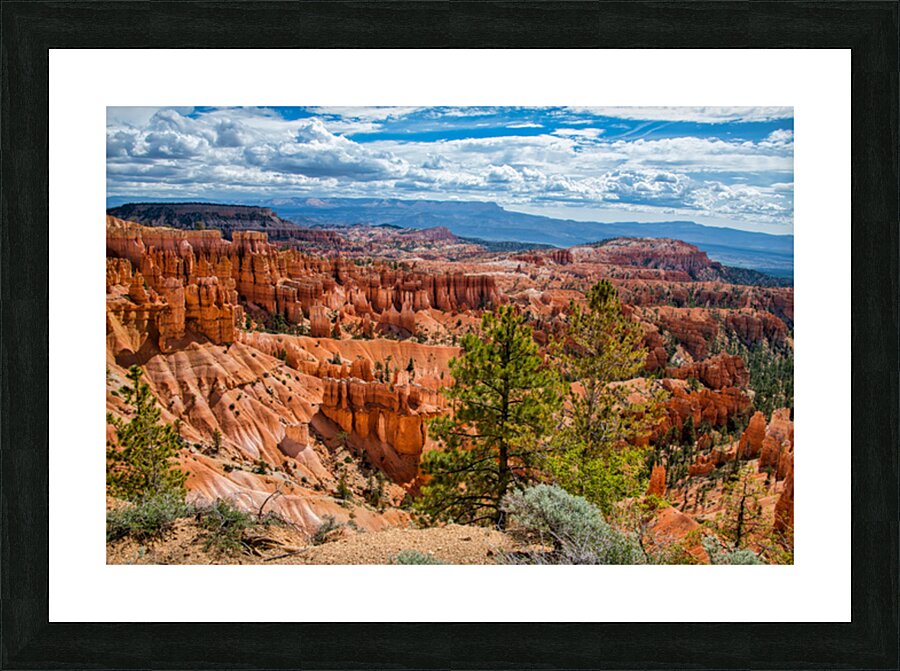 Bryce Canyon  Picture Frame print