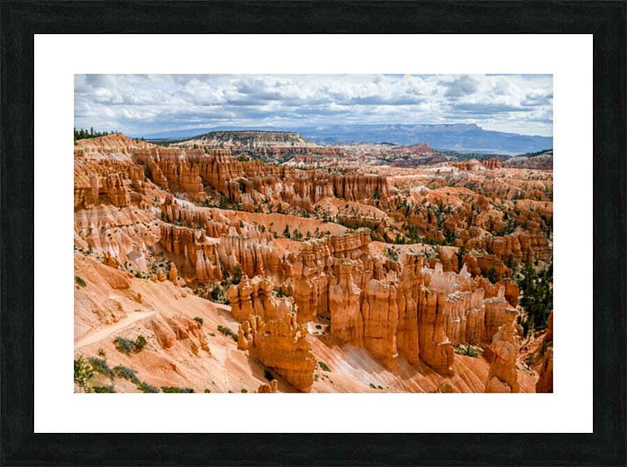 Bryce Amphitheater Picture Frame print