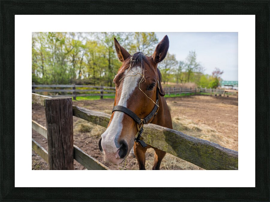 Lets Ride Picture Frame print