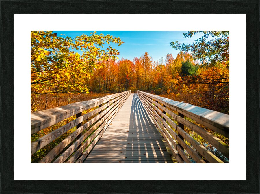 Autumn Bridge Picture Frame print