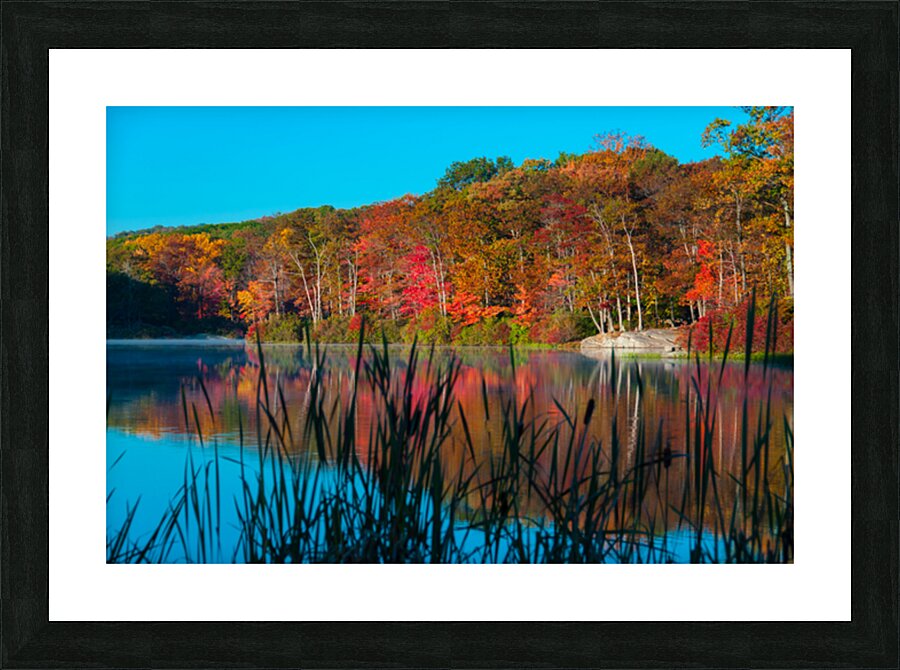 Autumn Lake Picture Frame print