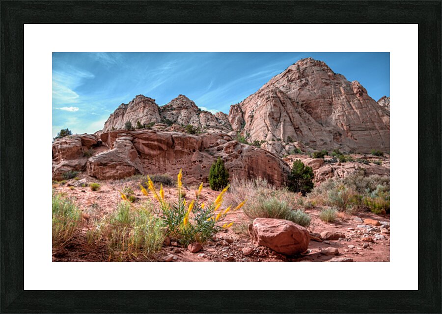 Capitol Reef Sandstone Picture Frame print