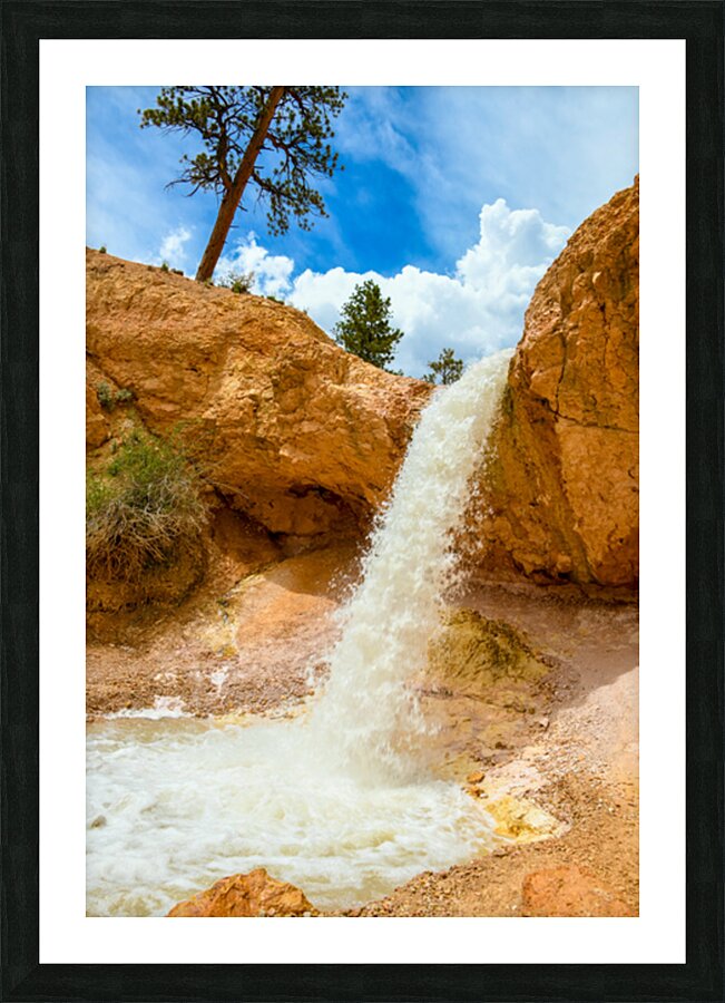  Fine Art print
