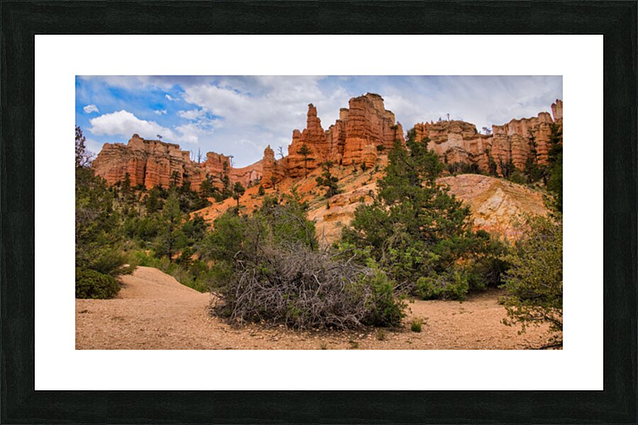  Fine Art print