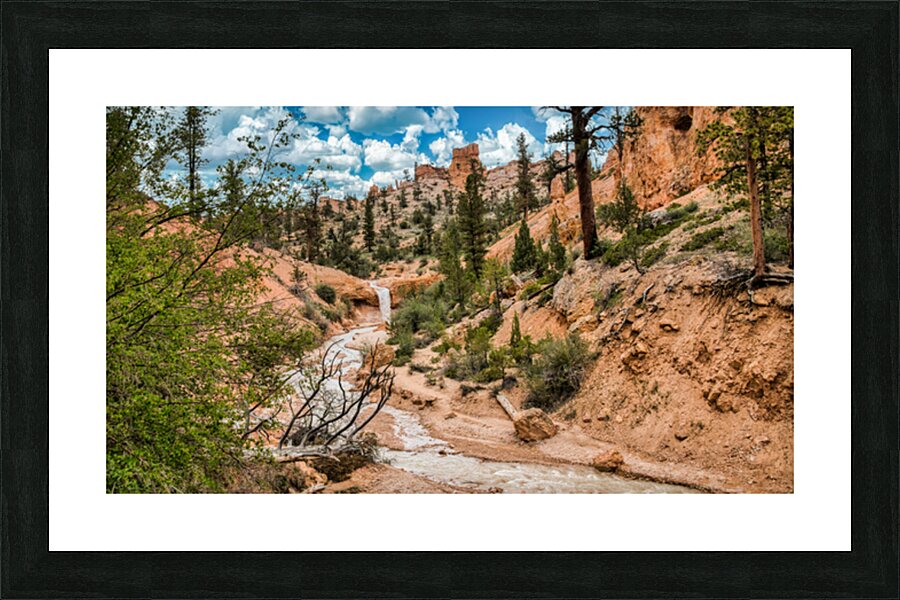  Fine Art print