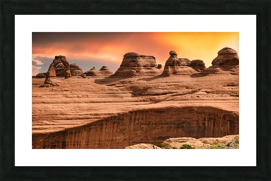  Fine Art print