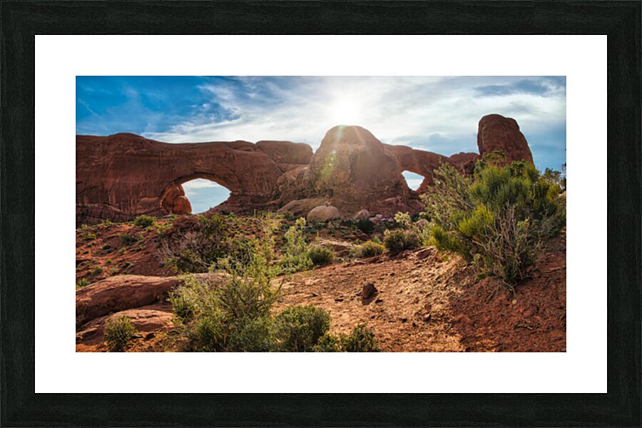  Fine Art print