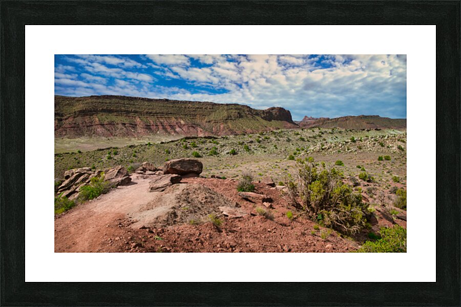  Fine Art print