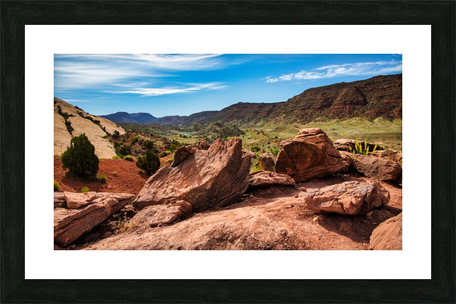  Fine Art print