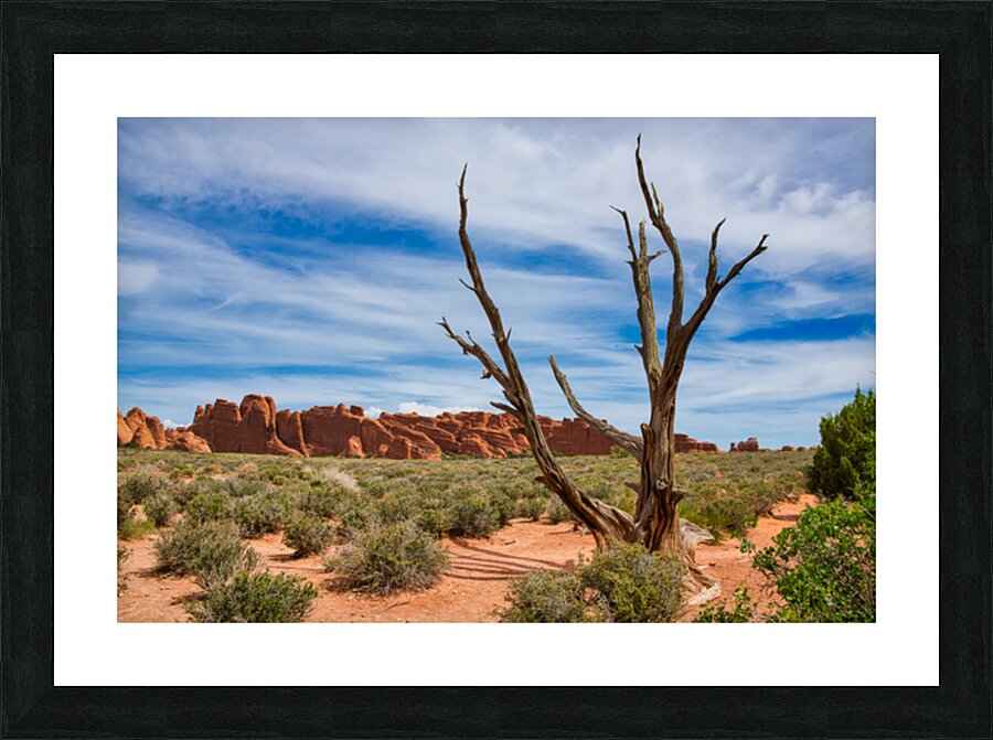 Fiery Juniper Tree  Picture Frame Printing