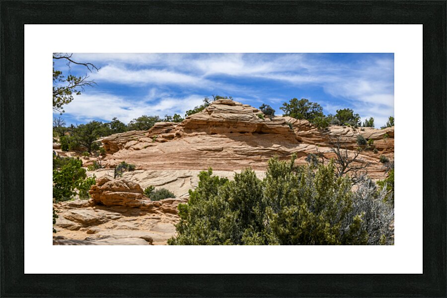  Fine Art print