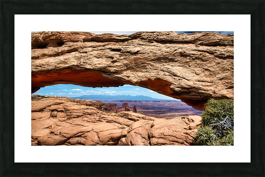  Fine Art print