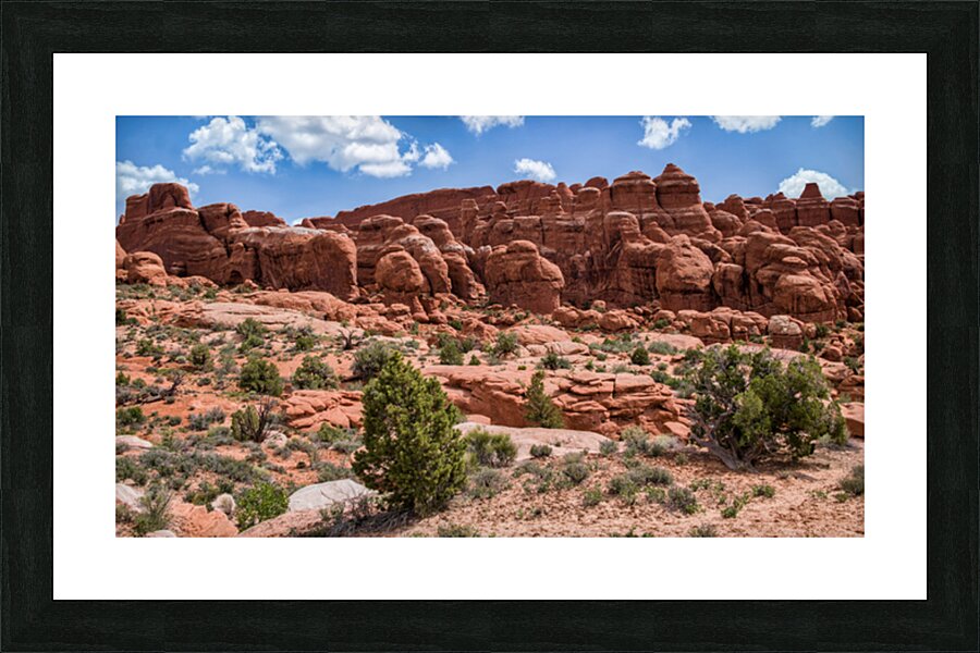  Fine Art print