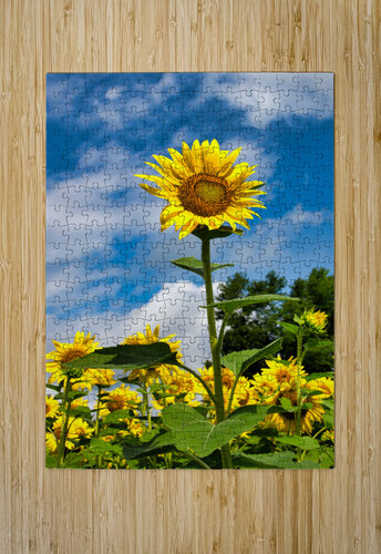 puzzle1small_819655.jpg