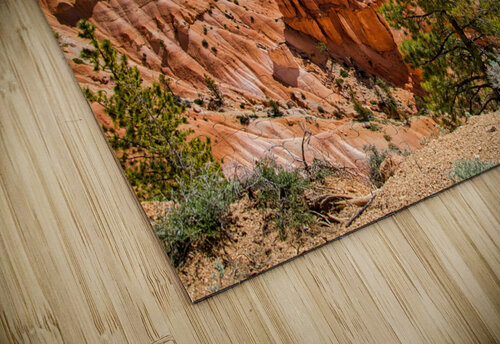Bryce Canyon  Anthony L Sacco Photography puzzle