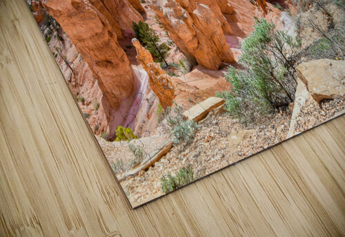 Sunset Point Bryce Canyon  Anthony L Sacco Photography puzzle