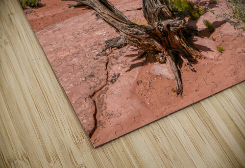 Utah Juniper Tree  Anthony L Sacco Photography puzzle