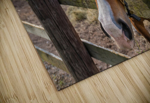 Lets Ride Anthony L Sacco Photography puzzle
