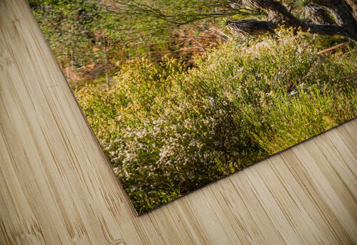 Joshua Tree Anthony L Sacco Photography puzzle