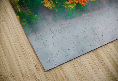 Misty Fall tree Anthony L Sacco Photography puzzle