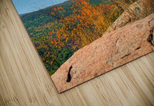 Autumn Tree Anthony L Sacco Photography puzzle