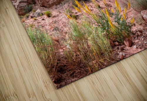 Capitol Reef Sandstone Anthony L Sacco Photography puzzle