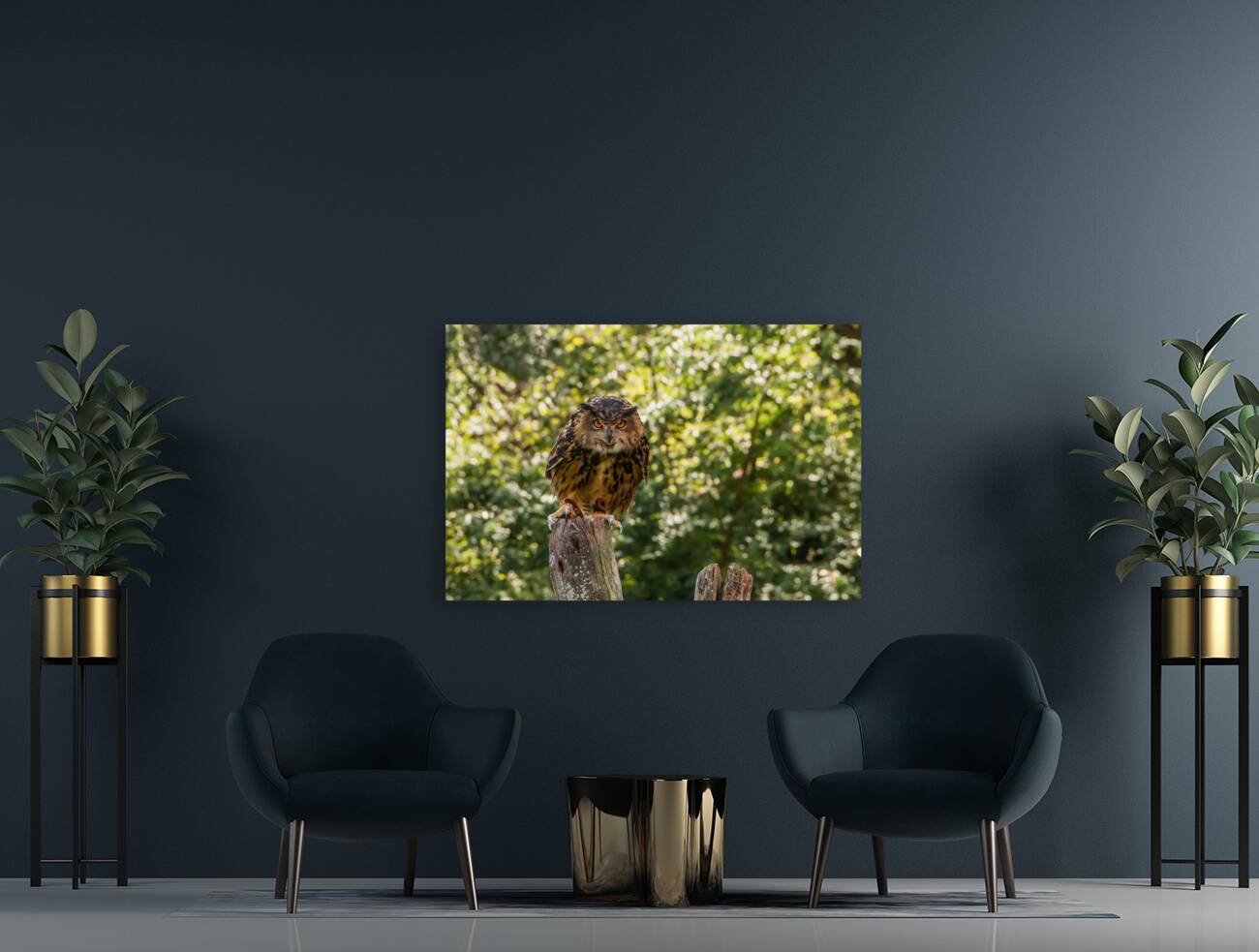   Eurasian Eagle Owl Reproduction