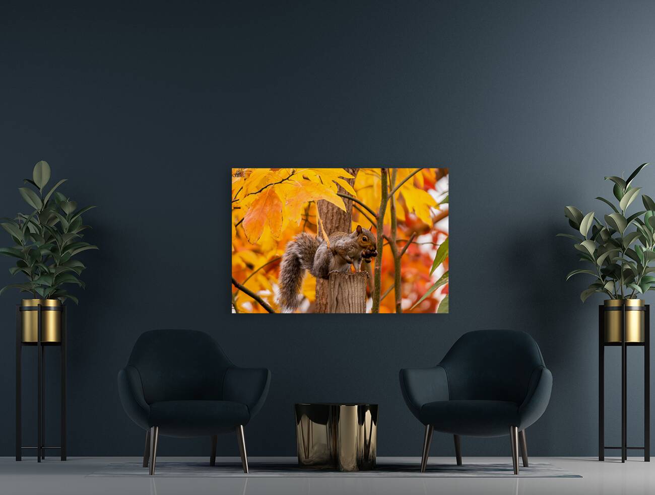 Autumn Squirrel Reproduction