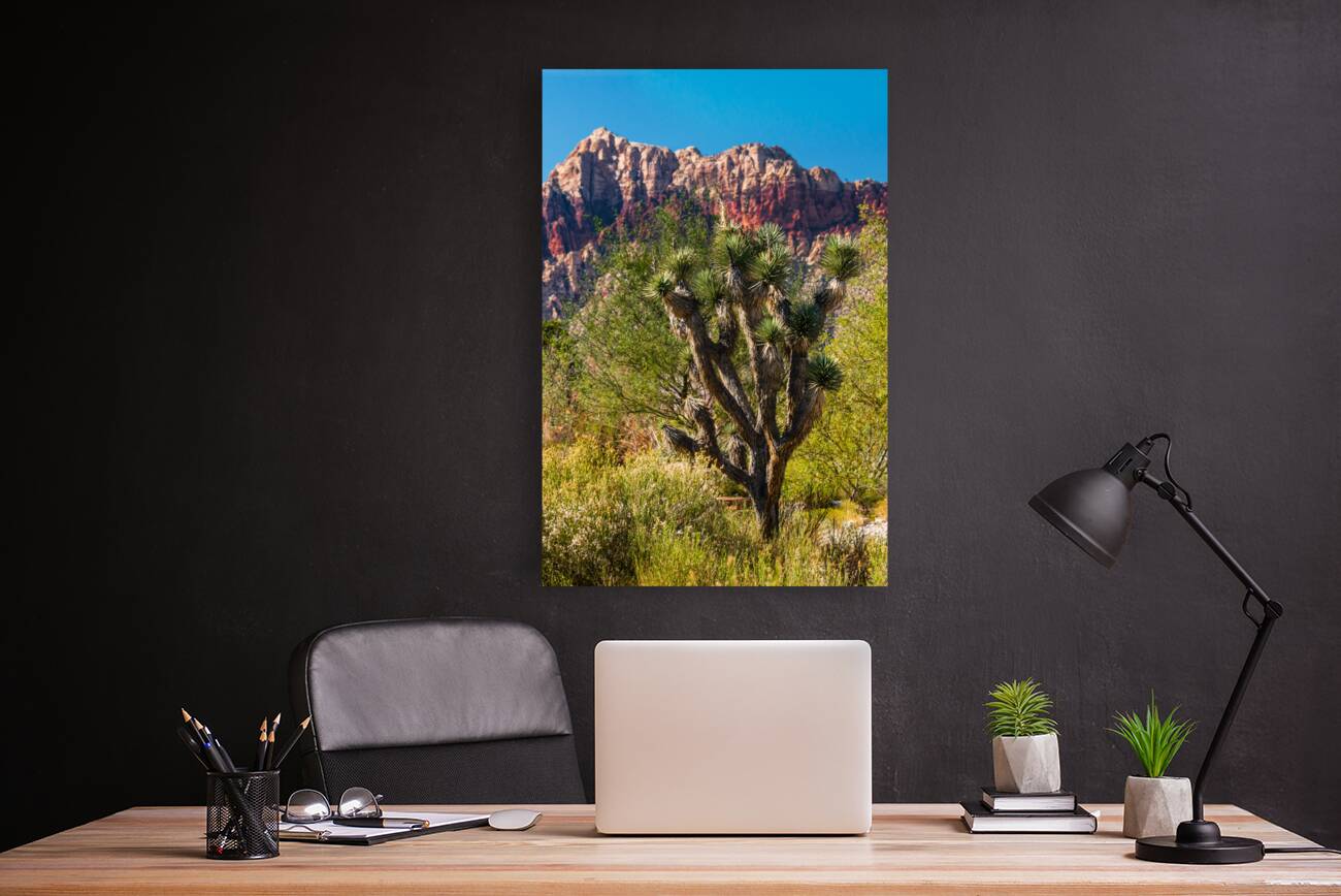 Joshua Tree Reproduction