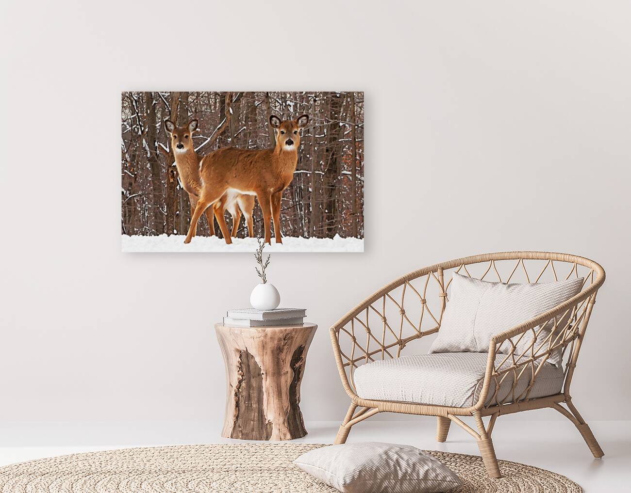 White Tailed Deer Reproduction