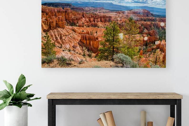 Bryce Canyon  by Anthony L Sacco Photography