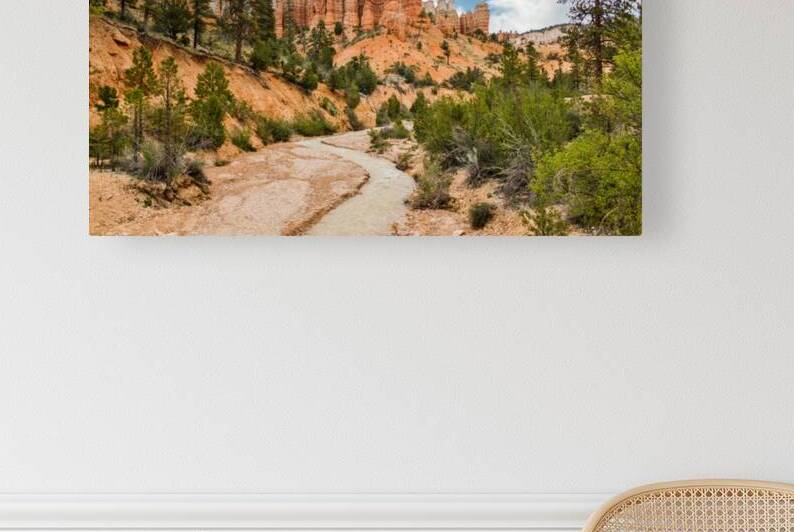 Bryce Canyon Tropic Ditch Stream by Anthony L Sacco Photography