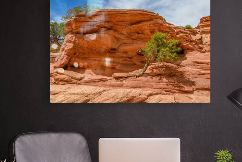 Utah Navajo Sandstone by Anthony L Sacco Photography