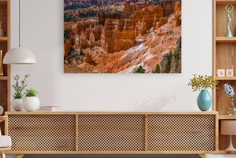 Bryce Canyon Vista 4 by Anthony L Sacco Photography
