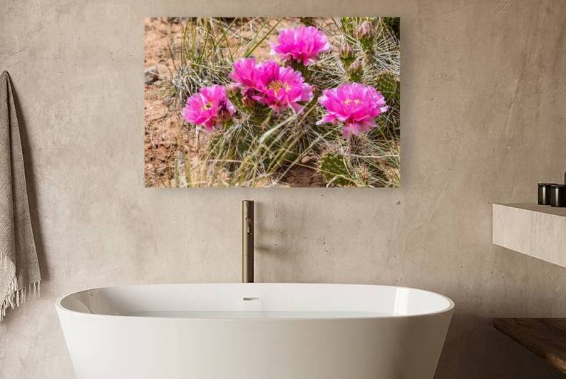 Plains Prickly Pear Cactus by Anthony L Sacco Photography