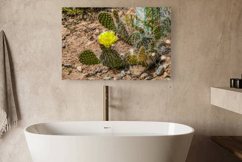 Yellow Prickly Pear Cactus by Anthony L Sacco Photography