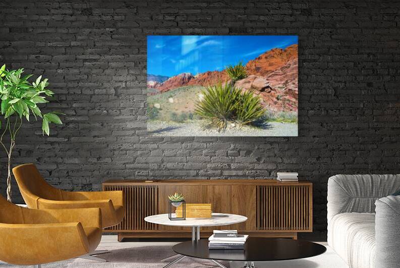 Red Rock Canyon Calicos Nevada by Anthony L Sacco Photography