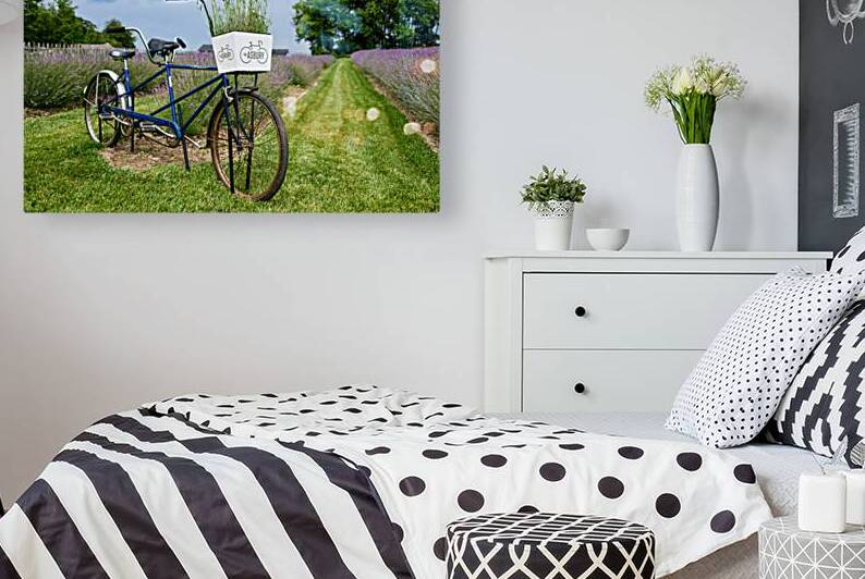 Schwinn Bicycle Built For Two by Anthony L Sacco Photography