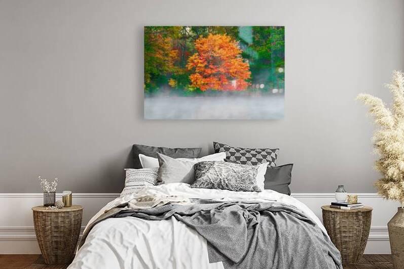 Misty Fall tree by Anthony L Sacco Photography