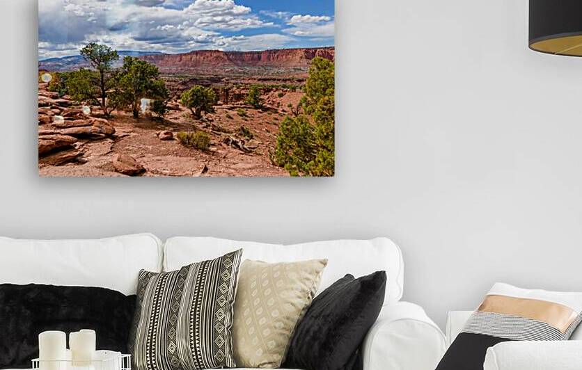 Goosenecks Scenic Overlook - Capitol Reef National Park  by Anthony L Sacco Photography