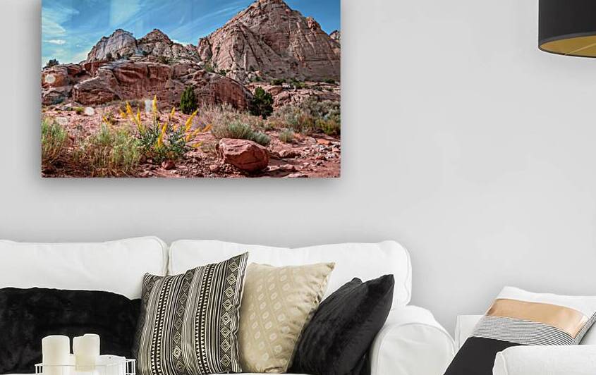 Capitol Reef Sandstone by Anthony L Sacco Photography