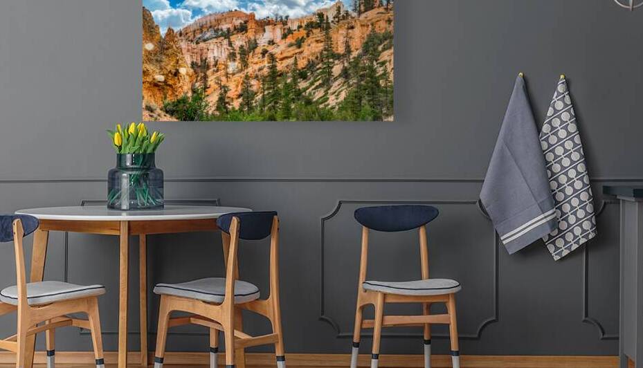 Mossy Cave Trailhead Bryce Canyon by Anthony L Sacco Photography