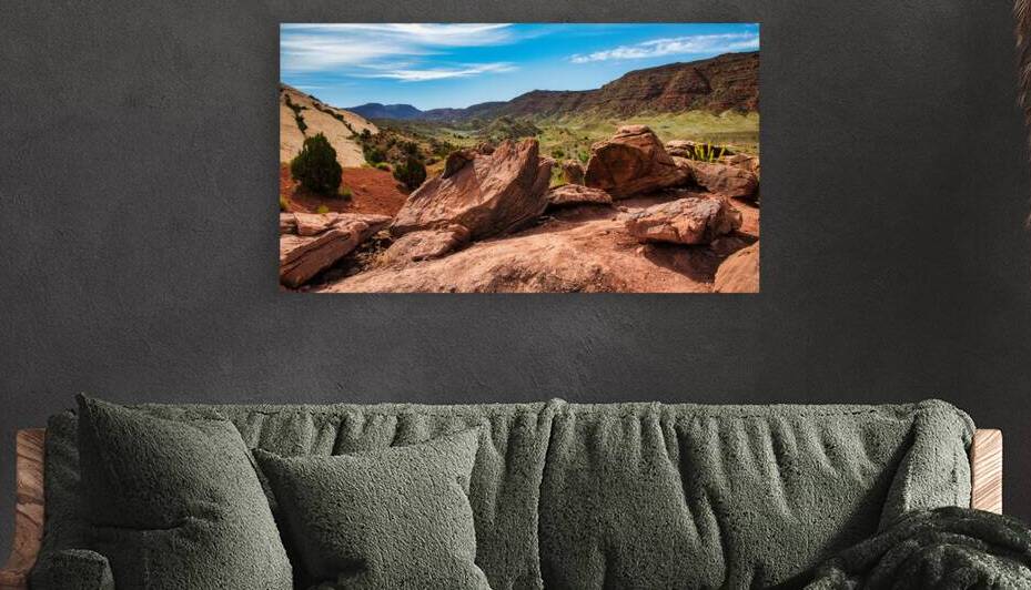 Morrison Dinosaur Formation at Arches National Park by Anthony L Sacco Photography