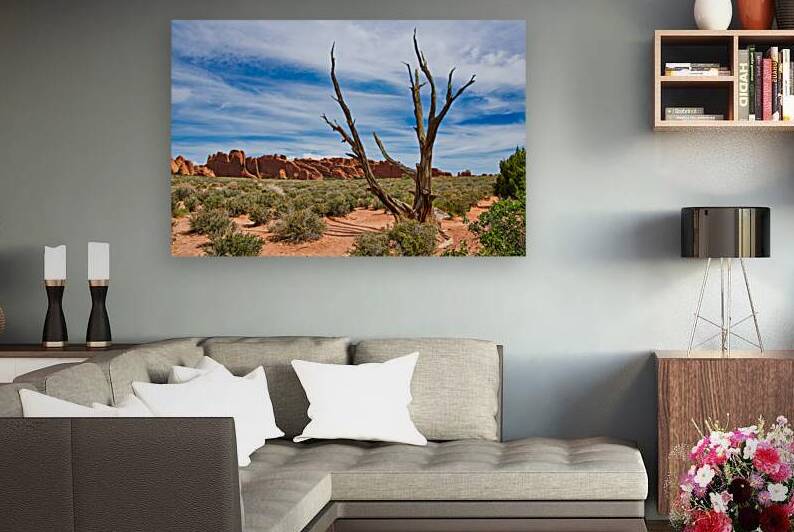 Fiery Juniper Tree  by Anthony L Sacco Photography