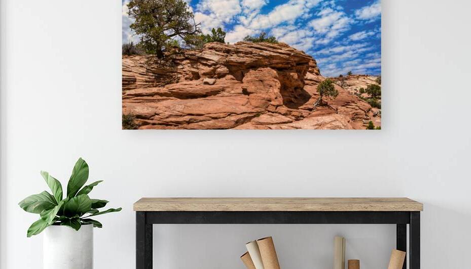 Navajo Desert Sandstone II Utah by Anthony L Sacco Photography