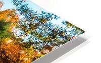 Autumn Bridge HD Metal print