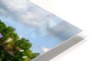 Rainbow Doors HD Metal print