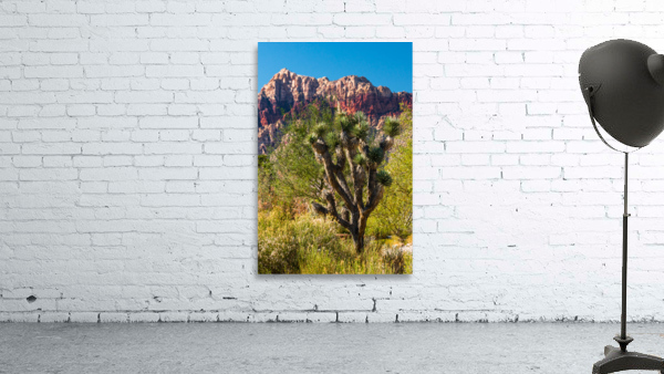 Joshua Tree Wall Preview
