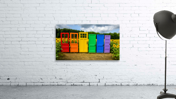 Rainbow Doors Wall Preview