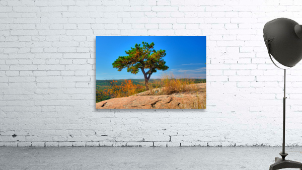 Autumn Tree Wall Preview